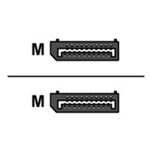ACT - DisplayPort kabel - DisplayPort naar DisplayPort - 2 m ACT - DisplayPort kabel - DisplayPort naar DisplayPort - 2 m